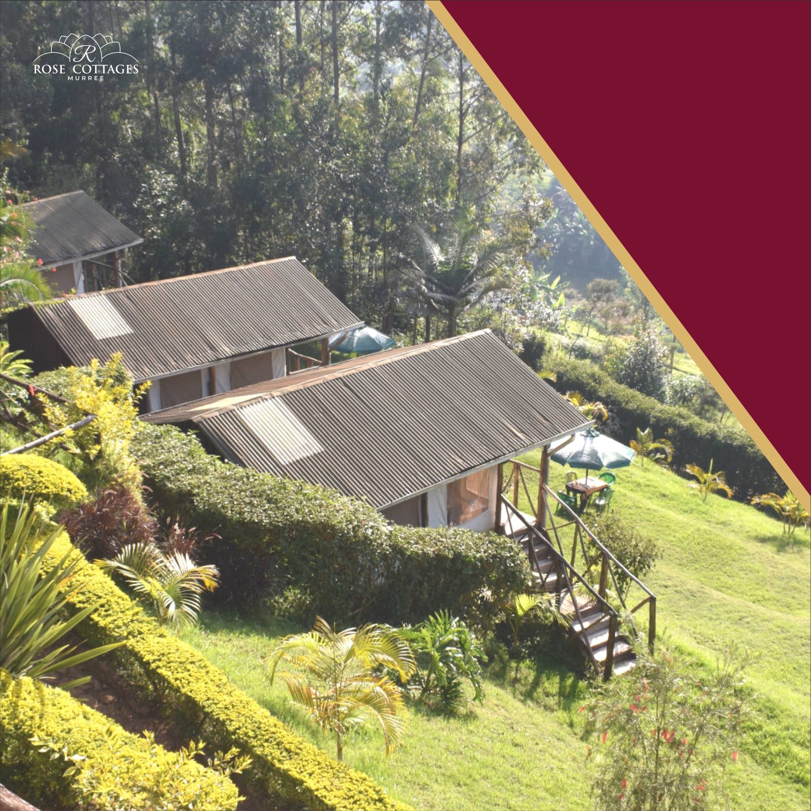 Rose Cottages Murree